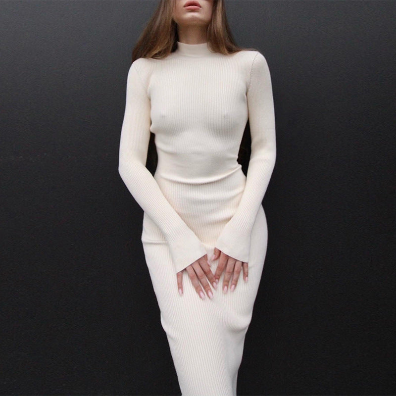 Ribbed High Neck Knit Dress