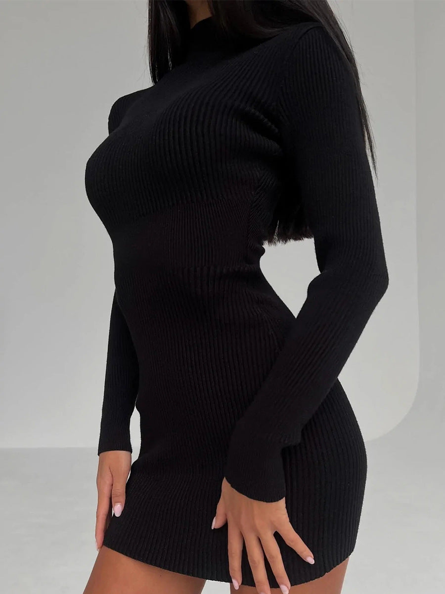 Ribbed High Neck Knit Dress