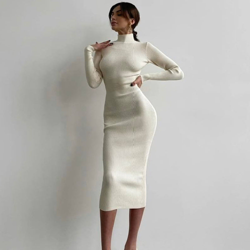 Ribbed High Neck Knit Dress