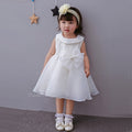 Girls' Dress & Skirt Set