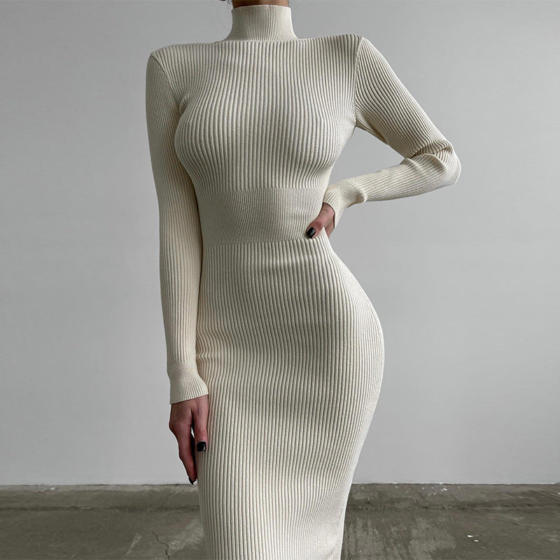 Ribbed High Neck Knit Dress