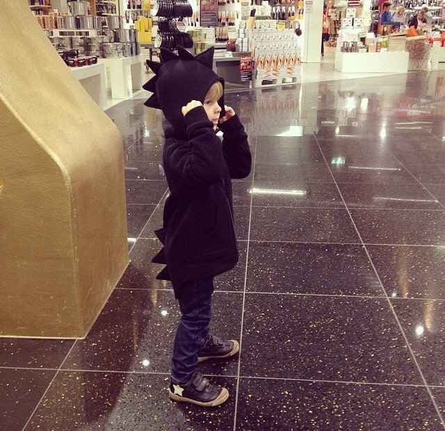 Kids' Dinosaur Hoodie