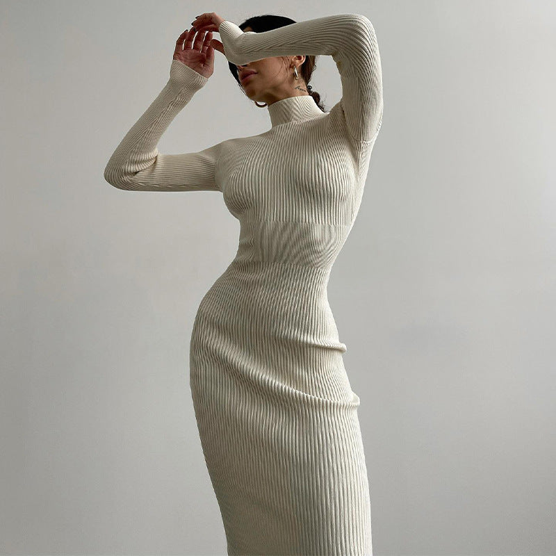 Ribbed High Neck Knit Dress