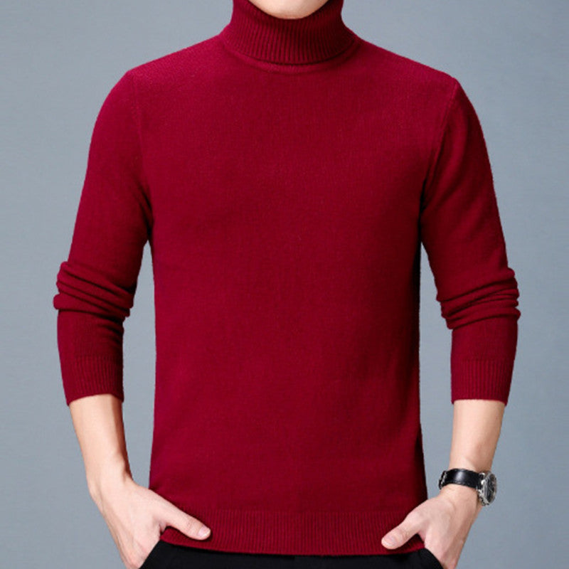 Thick Turtleneck Sweater